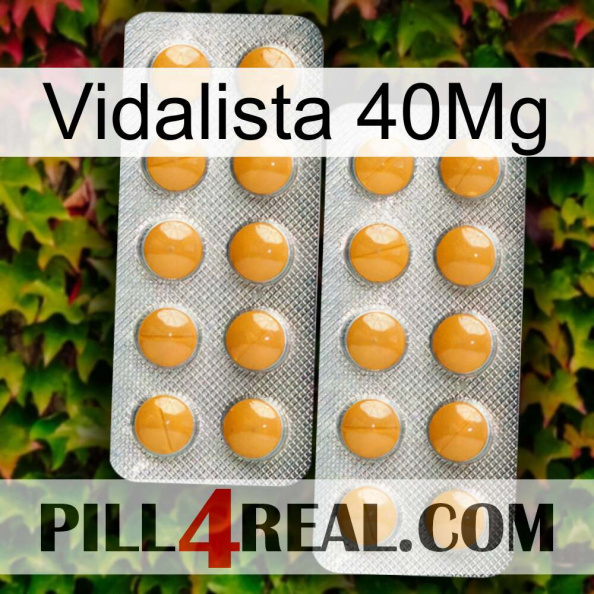 Vidalista 40Mg levitra2.jpg